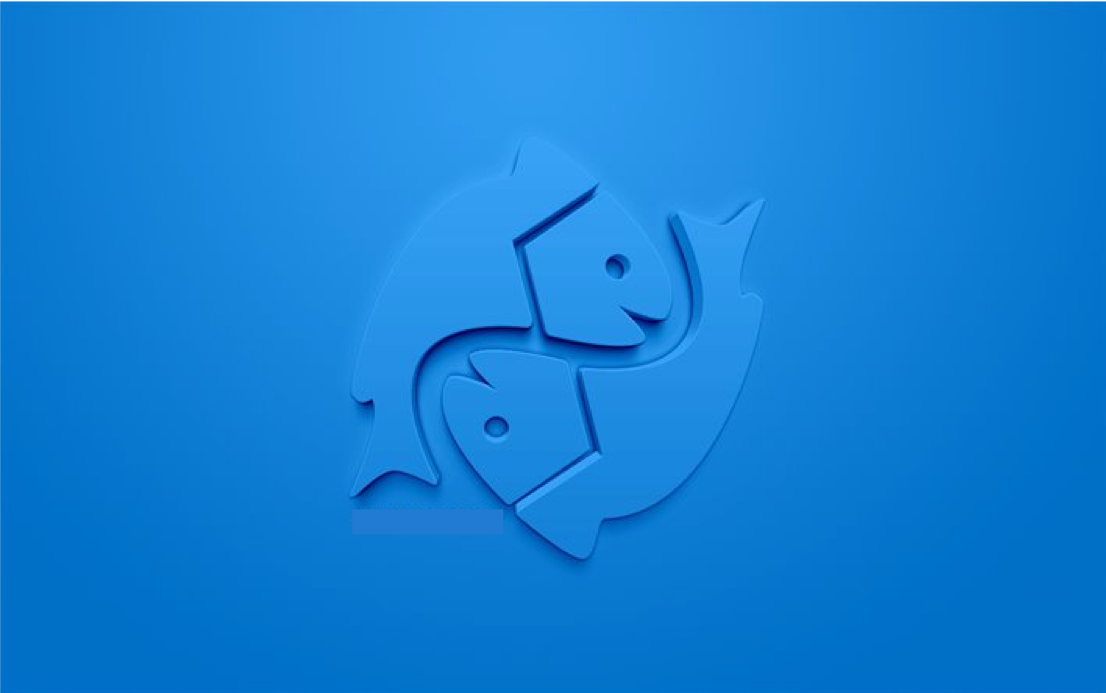 signe astrologique poisson idées cadeaux