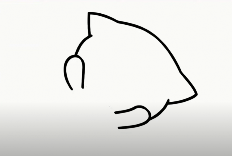 tutoriel dessin chat mignon