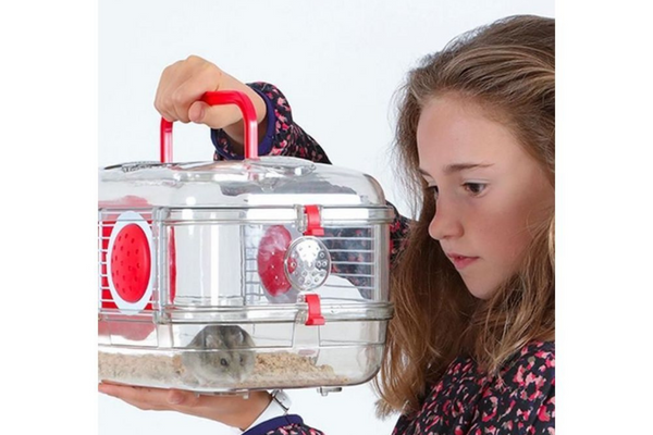Quelle cage de transport pour hamster ? Formalités et conseils