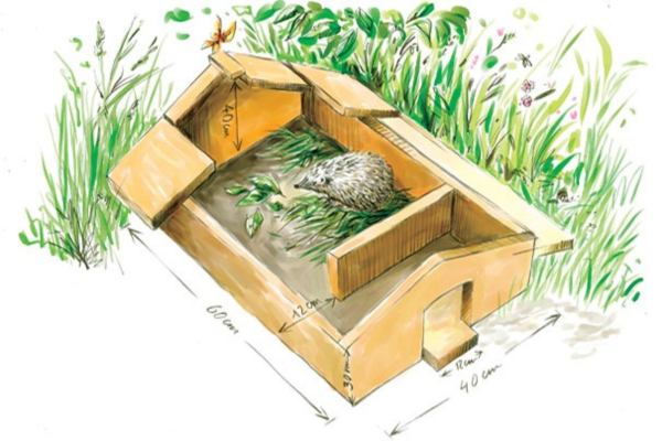 dessin abri pour herisson