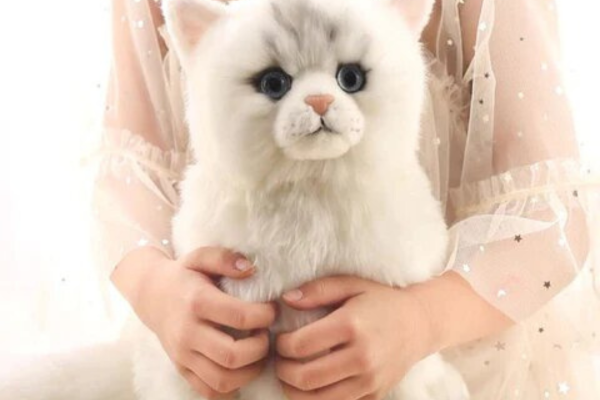 peluche chat pour enfant