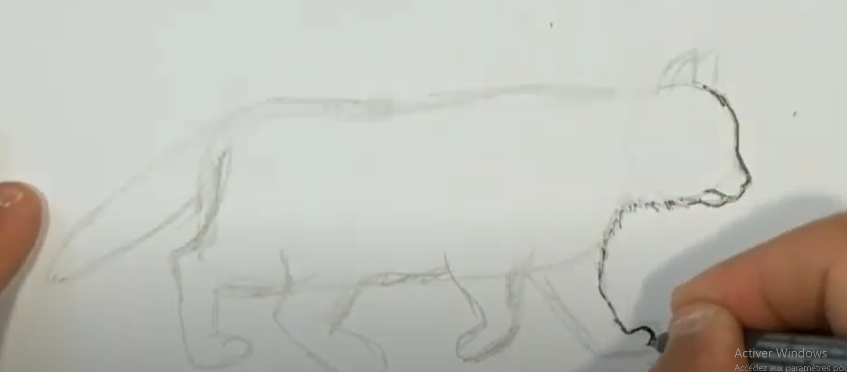 dessiner un chat qui marche