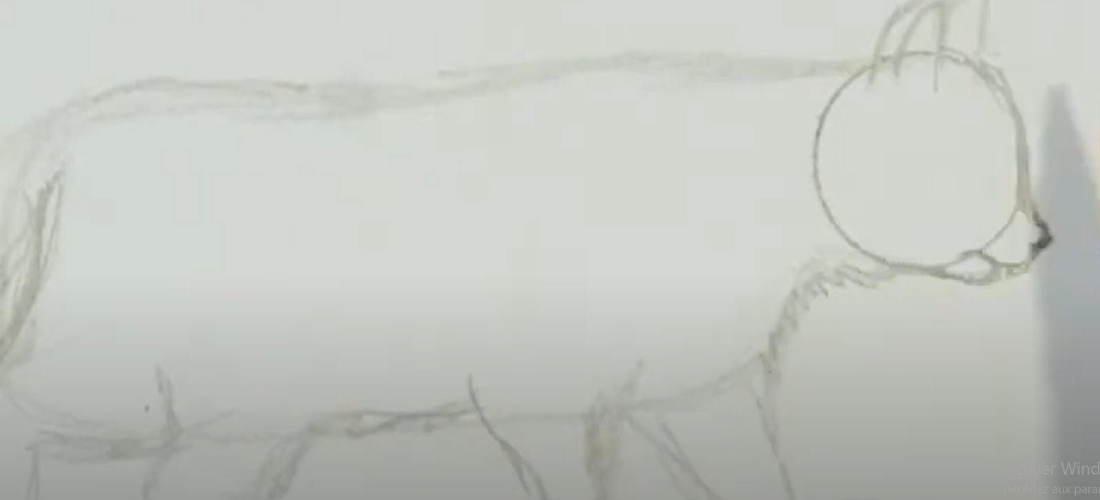 dessiner un chat qui marche