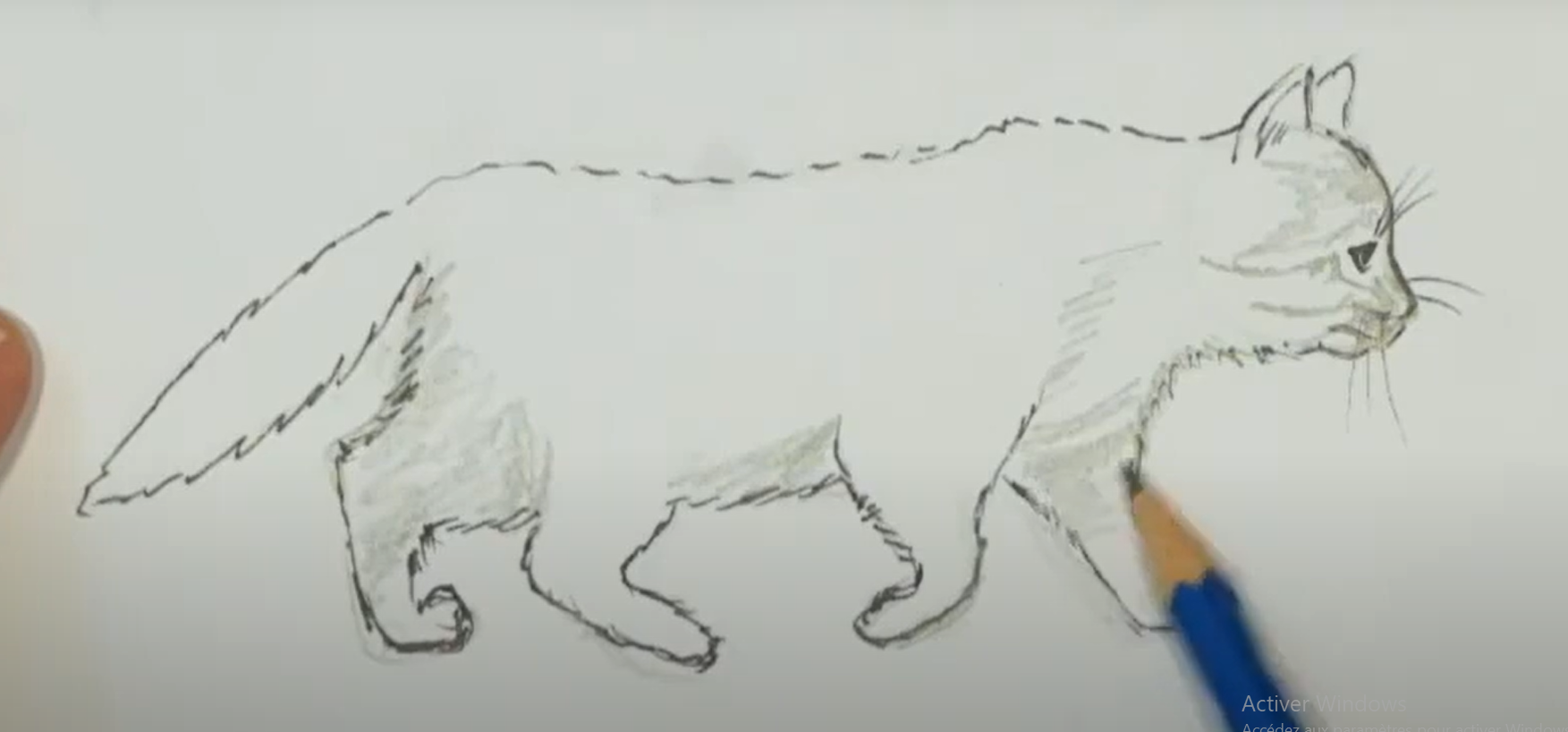 dessiner un chat qui marche