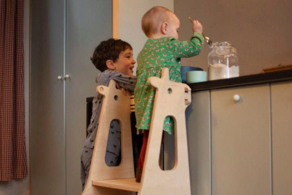 freres-tour-d-observation