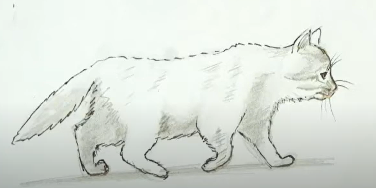 Tutoriel : Comment dessiner un chat qui marche ?